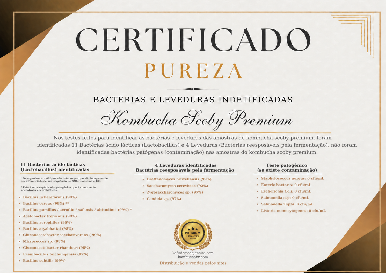 Certificado oficial de pureza do Kombucha Scoby Premium. Toque ou pressione Enter para ampliar.
